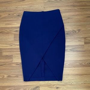 Express Pencil Skirt